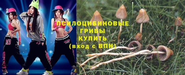 марки lsd Бугульма