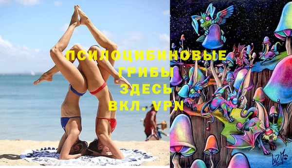 а пвп мука Богданович
